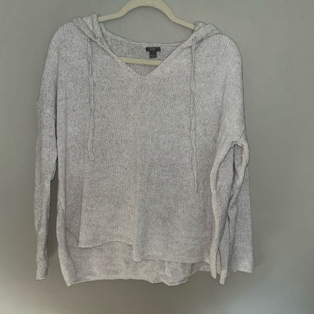 Aerie hooded sweater
